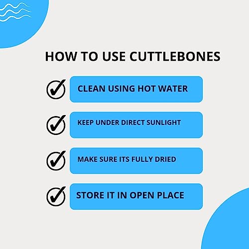 KORKAI Cuttlefish Bones for Birds