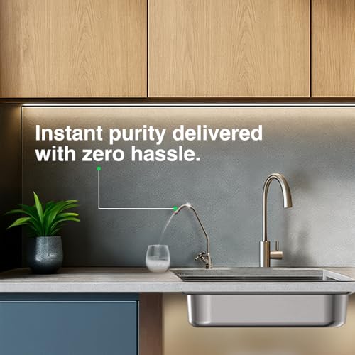 AO Smith Z2+ Luxe RO