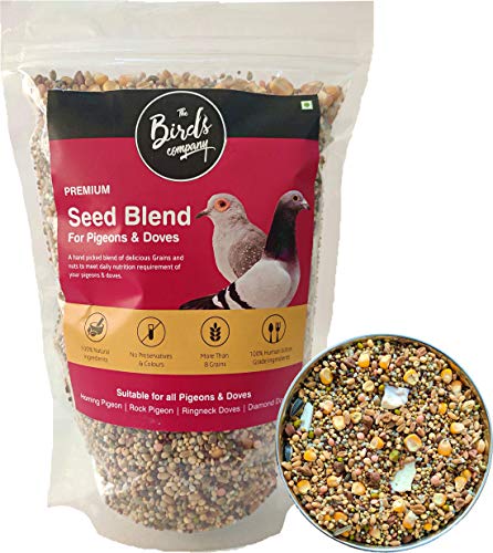 The Birds Company Premium Seed