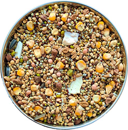The Birds Company Premium Seed