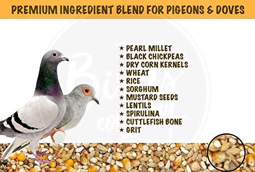 The Birds Company Premium Seed