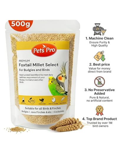 Foxtail Millet Kangni 500g –