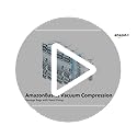 amazon basics Vacuum Compression Storage