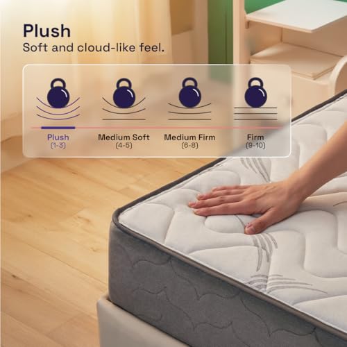 Wakefit Elevate Pocket Spring Mattress