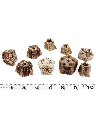 20 Piece Mahogany Pods Slice