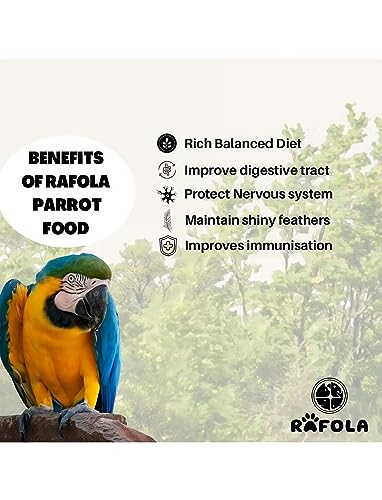 Big Parrot Food-Premium Bird Food