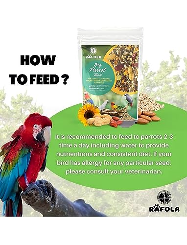 Big Parrot Food-Premium Bird Food