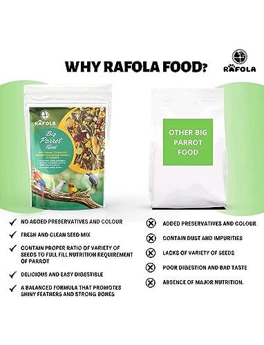 Big Parrot Food-Premium Bird Food