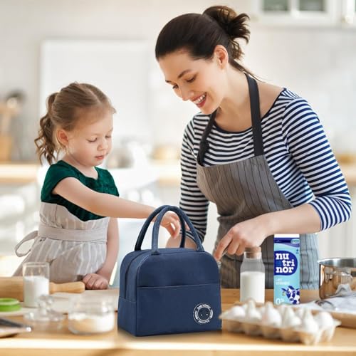 Lunch Bag Office Tiffin Bags