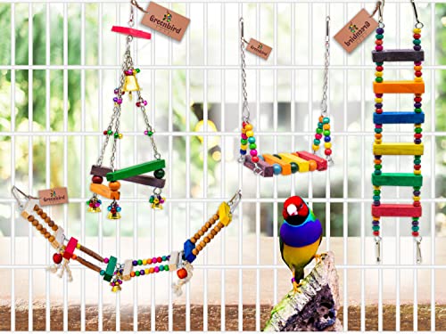 GREENBIRDS Toys Combo Pack