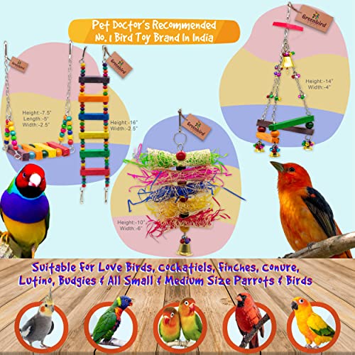 GREENBIRDS Toys Combo Pack