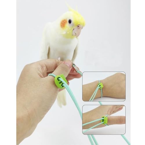DENMILE Bird Harness Rope Belt
