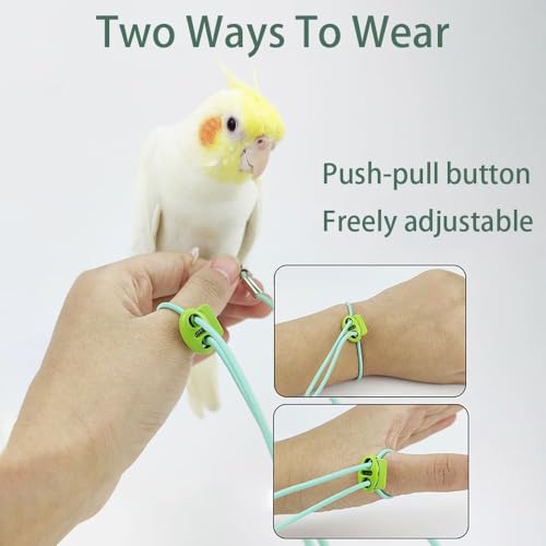 DENMILE Bird Harness Rope Belt