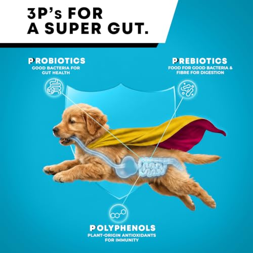 Godrej Ninja Puppy Dry Dog