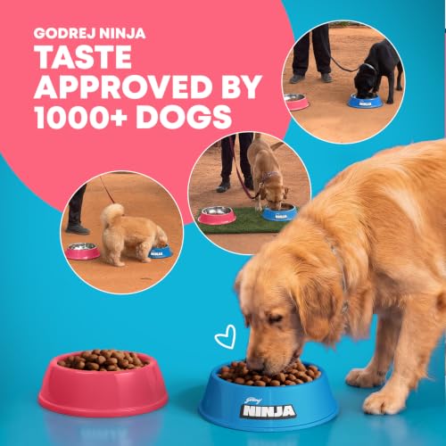 Godrej Ninja Puppy Dry Dog