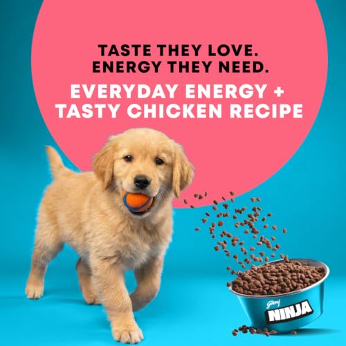 Godrej Ninja Puppy Dry Dog