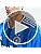 adidas Men India Official T20