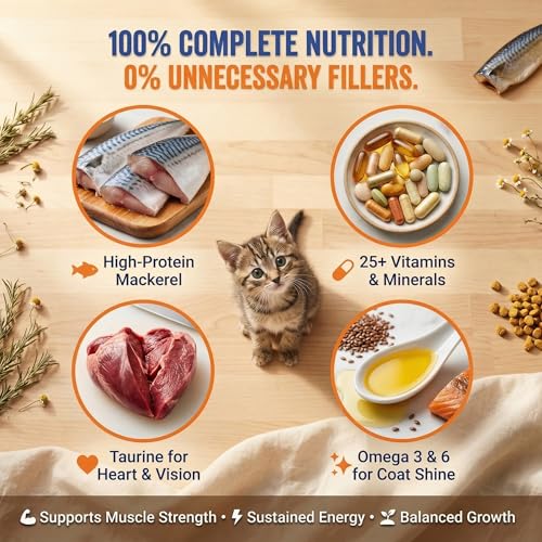 Petcrux Dry Kitten Cat Food