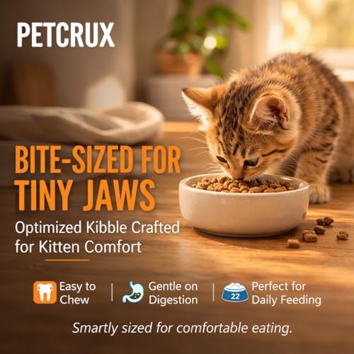 Petcrux Dry Kitten Cat Food