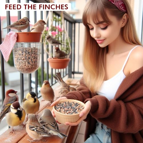 Boltz Premium Bird Food