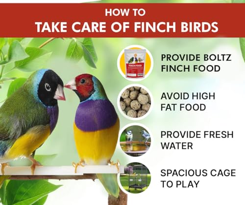 Boltz Premium Bird Food