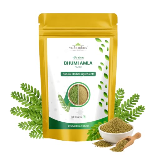 Bhumi Amla Powder 100G