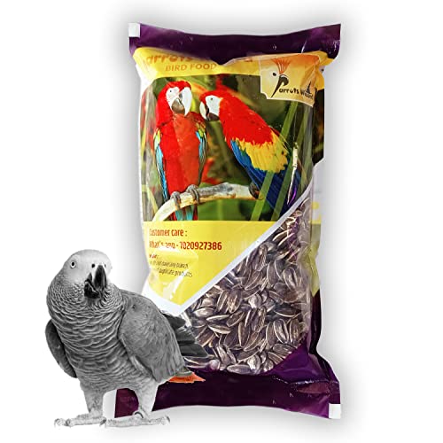 Adult Dry Bird Food Imported