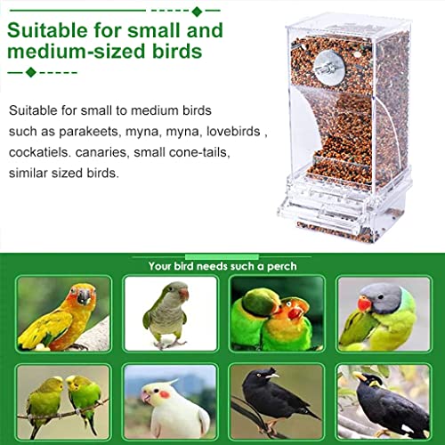 Qpets® Bird Feeder for Cage