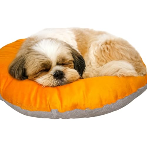 The Pets Company Calming Dog