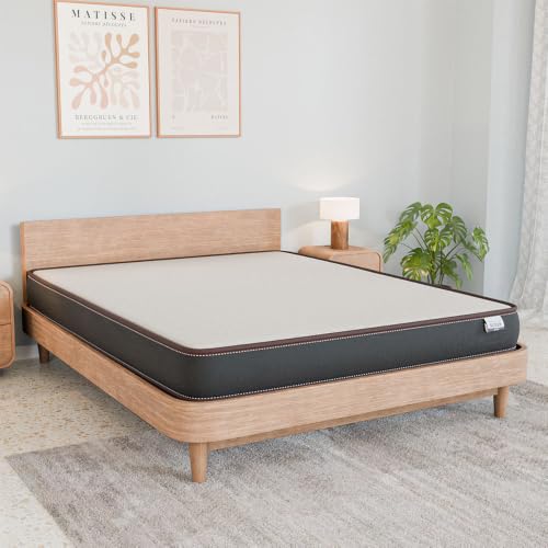 Nilkamal SLEEP Lite Dual Comfort