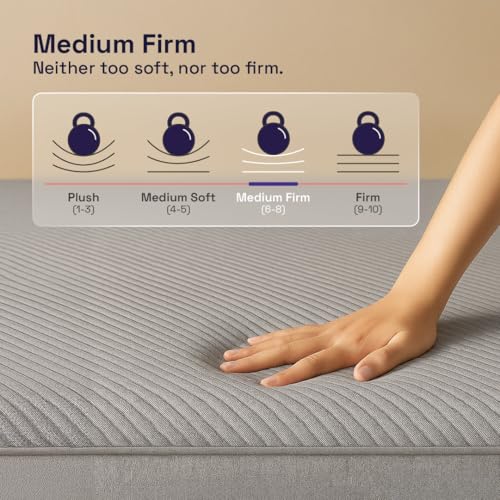 Wakefit ShapeSense Orthopedic Classic Memory