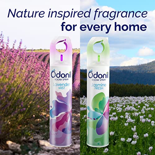 Odonil Air Freshener Room Spray