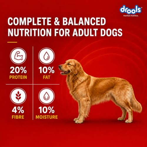 Drools Adult Dry Dog Food