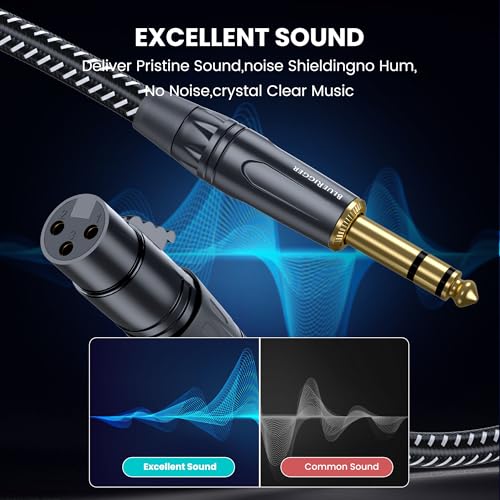 BlueRigger Premium XLR Pro Female