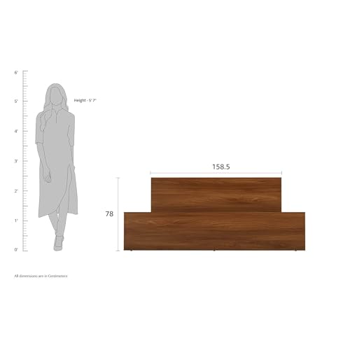 Amazon Brand - Solimo Medusa Engineered Wood Queen Bed (Walnut Finish) - Image 6