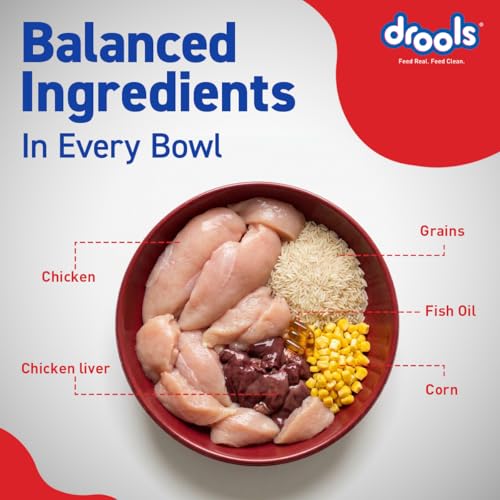 Drools Optimum Performance Adult Dry
