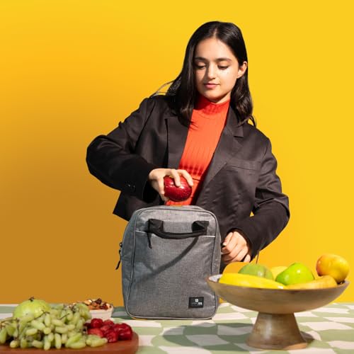 URBANFIX Insulated Lunch/Tiffin/Travel/Storage Bag
