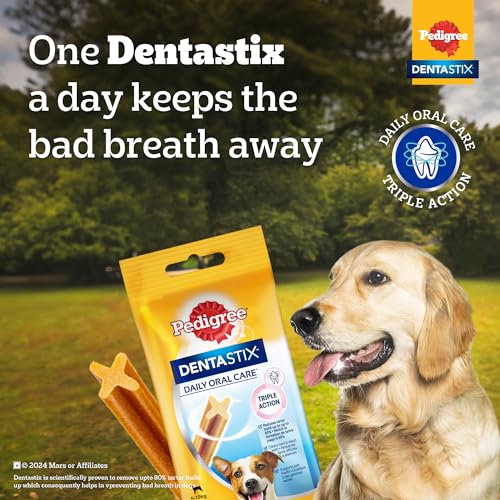 Pedigree Dentastix Oral Care Dog