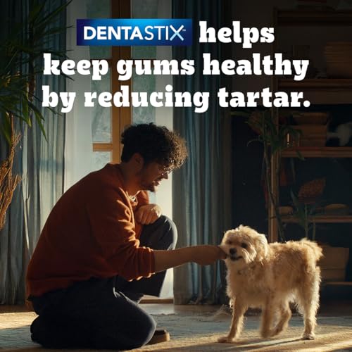 Pedigree Dentastix Oral Care Dog