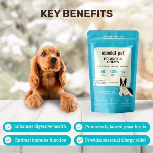 Absolut Pet Probiotic Chews