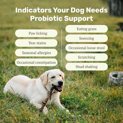 Absolut Pet Probiotic Chews