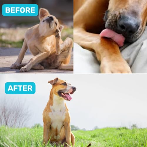 Absolut Pet Probiotic Chews