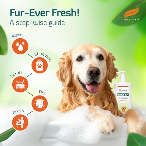 Himalaya Erina-EP Shampoo | 200
