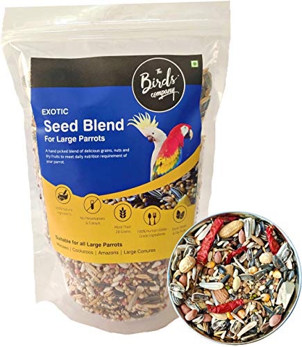 The Birds Company Exotic Seed