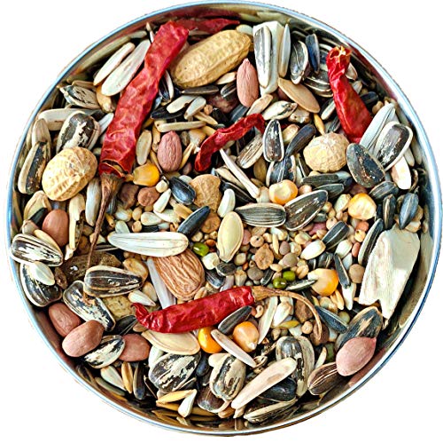 The Birds Company Exotic Seed
