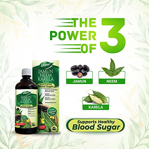 Dabur Jamun Neem Karela Juice
