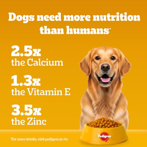 Pedigree Adult Dry Dog Food