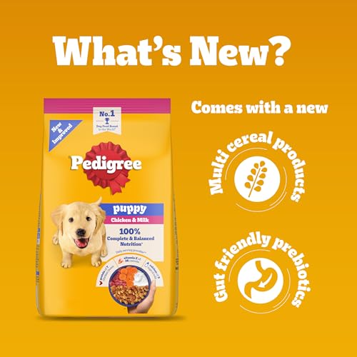 Pedigree Puppy Dry Dog Food