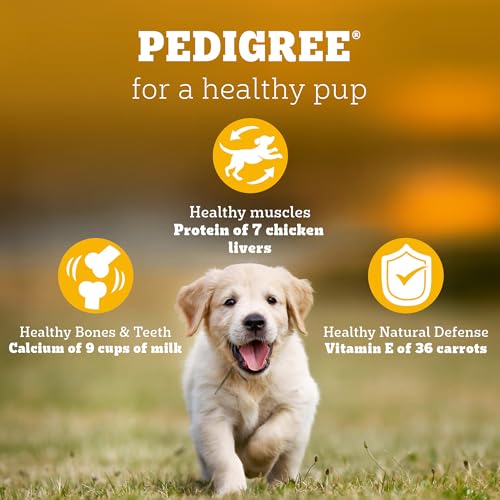 Pedigree Puppy Dry Dog Food