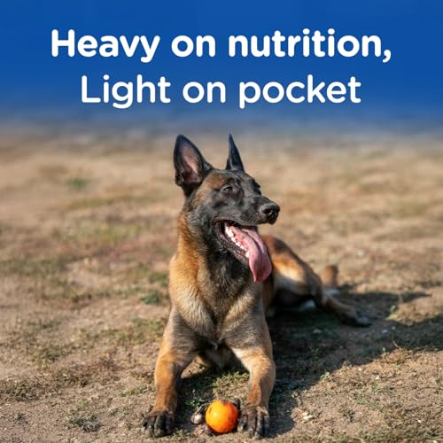 Chappi Adult Dry Dog Food